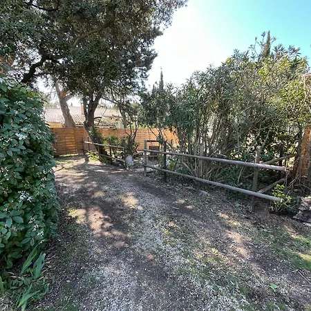 別荘 Mazet En Provence Châteaurenard